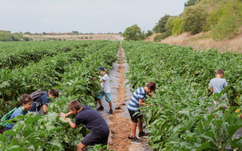 Foto-slow-food-compostela